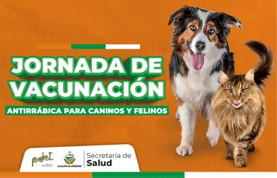 Jornada municipal de vacunación canina y felina